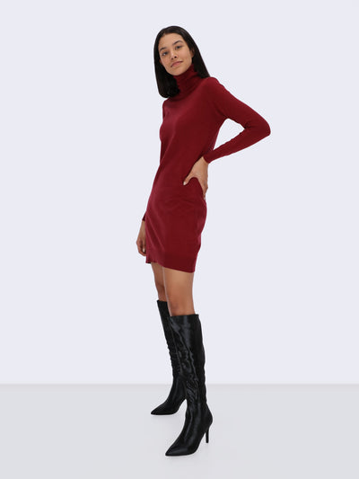 High Cowl Knit Mini Dress