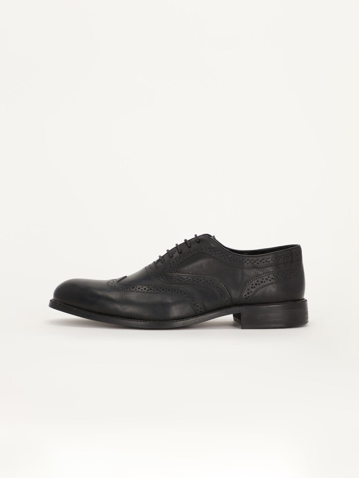 Daniel Hechter Shoes Hass Brogue Leather Shoes