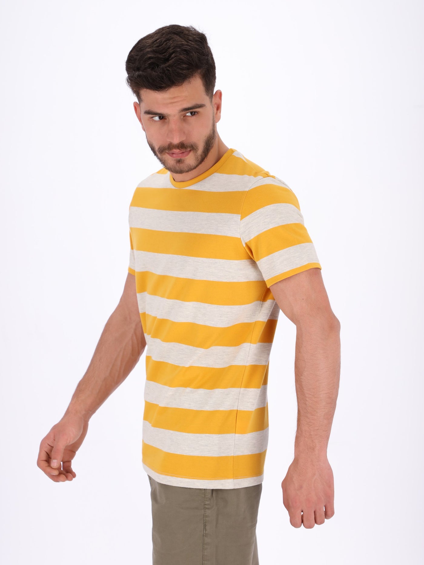 Men's Striped Crew Neck T-Shirt