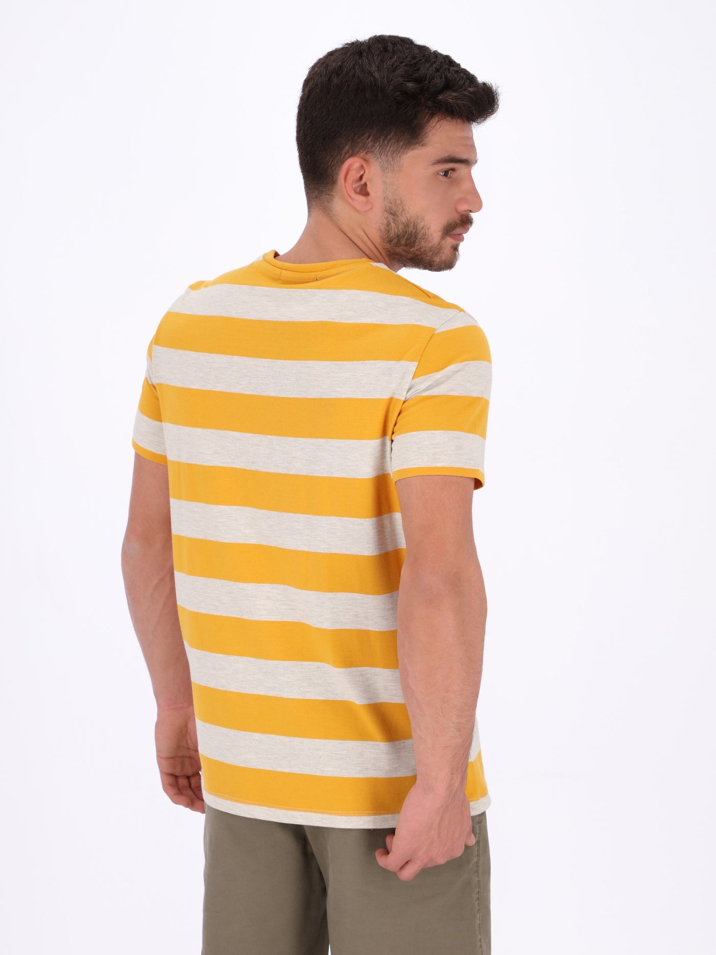 Men's Striped Crew Neck T-Shirt